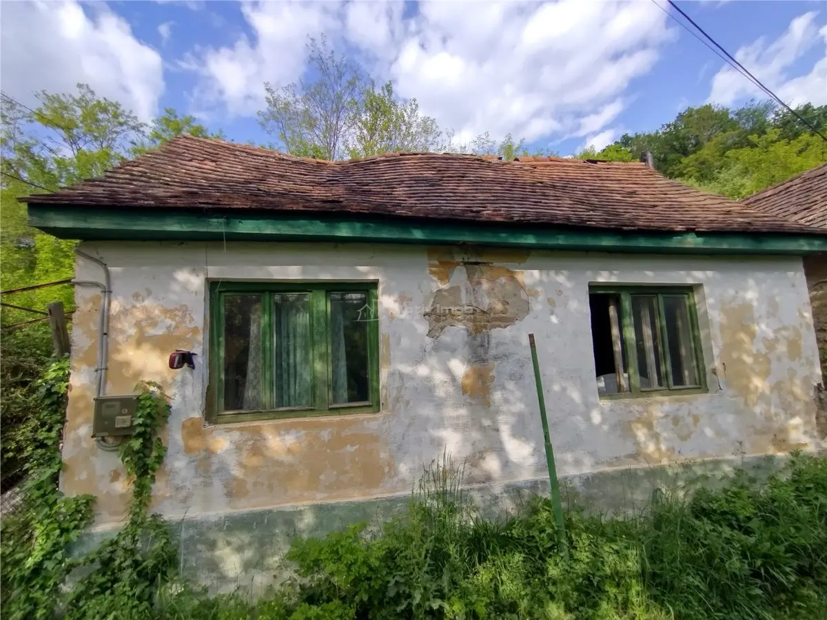 Sasca Montana | Oportunidad | Casa con Terreno de 230 m² - foto 9