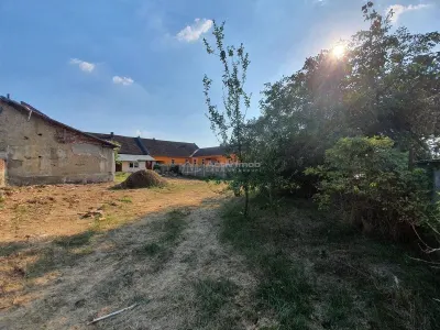 House / villa for sale sqm in Bocsa - foto 17