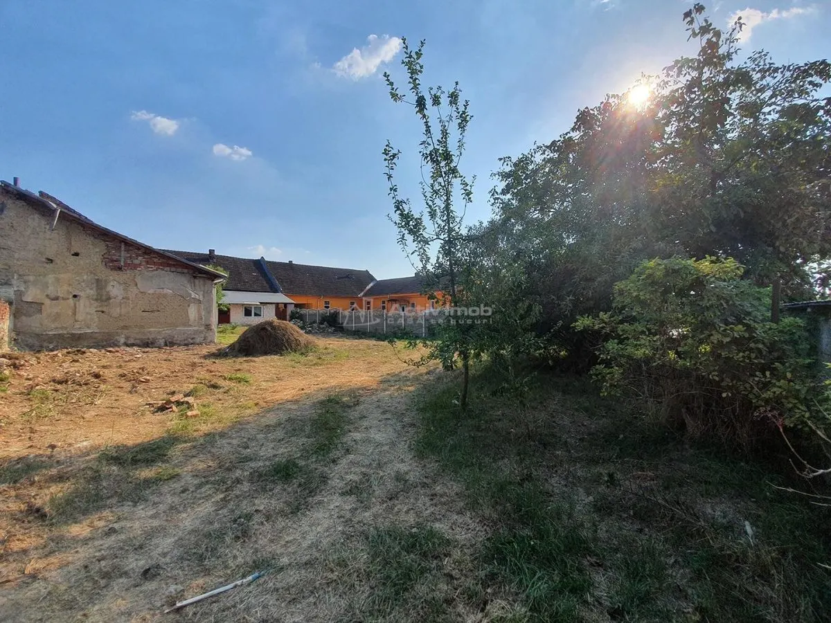 House / villa for sale sqm in Bocsa - foto 17