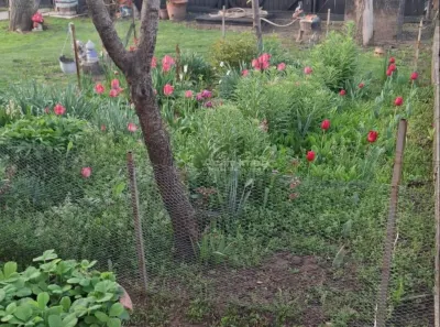 Maison de Charme dans Quartier Calme, à 10 km de Ploiești - foto 9