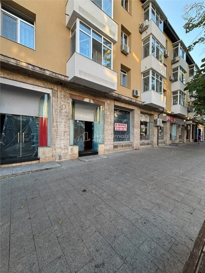 Spatiu comercial 160mp Str Domneasca Centru - foto 1