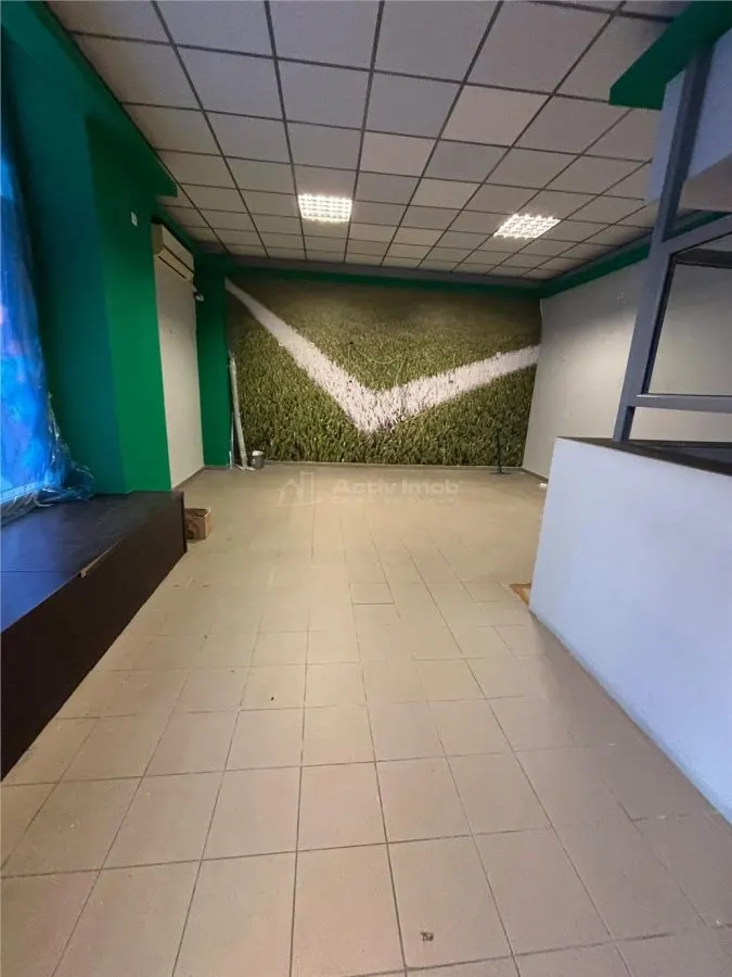 Spatiu comercial 160mp Str Domneasca Centru - foto 5