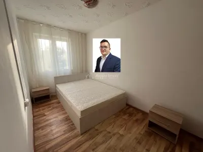 卡兰塞贝什出租，一卧室公寓，巴尔塔萨拉塔 - Caransebes