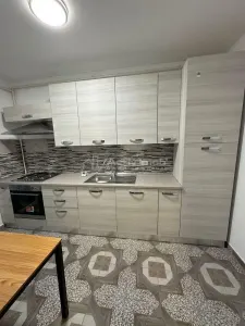Appartement 2 Chambres Décloisonné - Pallady, Drumul Gura Putnei - foto 7