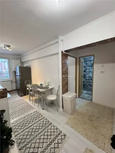 Appartement 2 Pièces - Iuliu Maniu - Rez-de-Chaussée - Deva