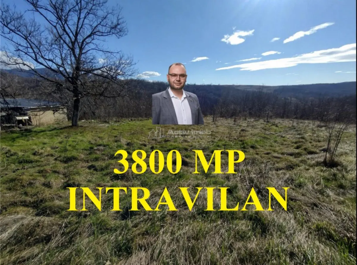Oravita, Terrain Constructible, €3,8/m², Centre-Ville, Négociable - foto 1
