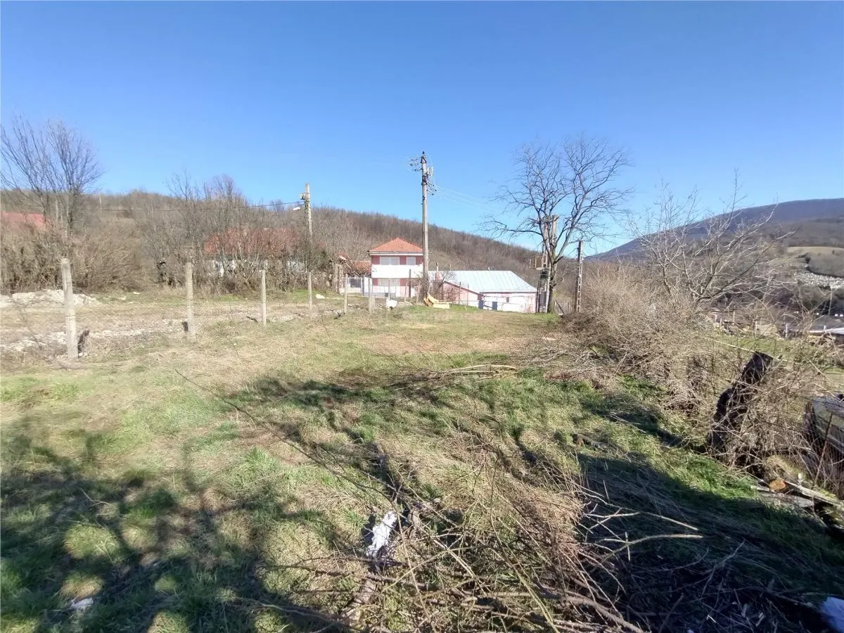 Oravita, Terrain Constructible, €3,8/m², Centre-Ville, Négociable - foto 13
