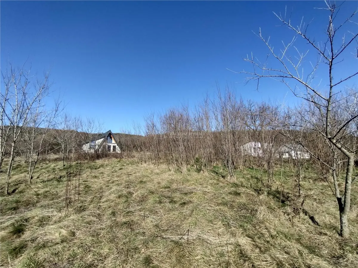 Oravita, Terrain Constructible, €3,8/m², Centre-Ville, Négociable - foto 16