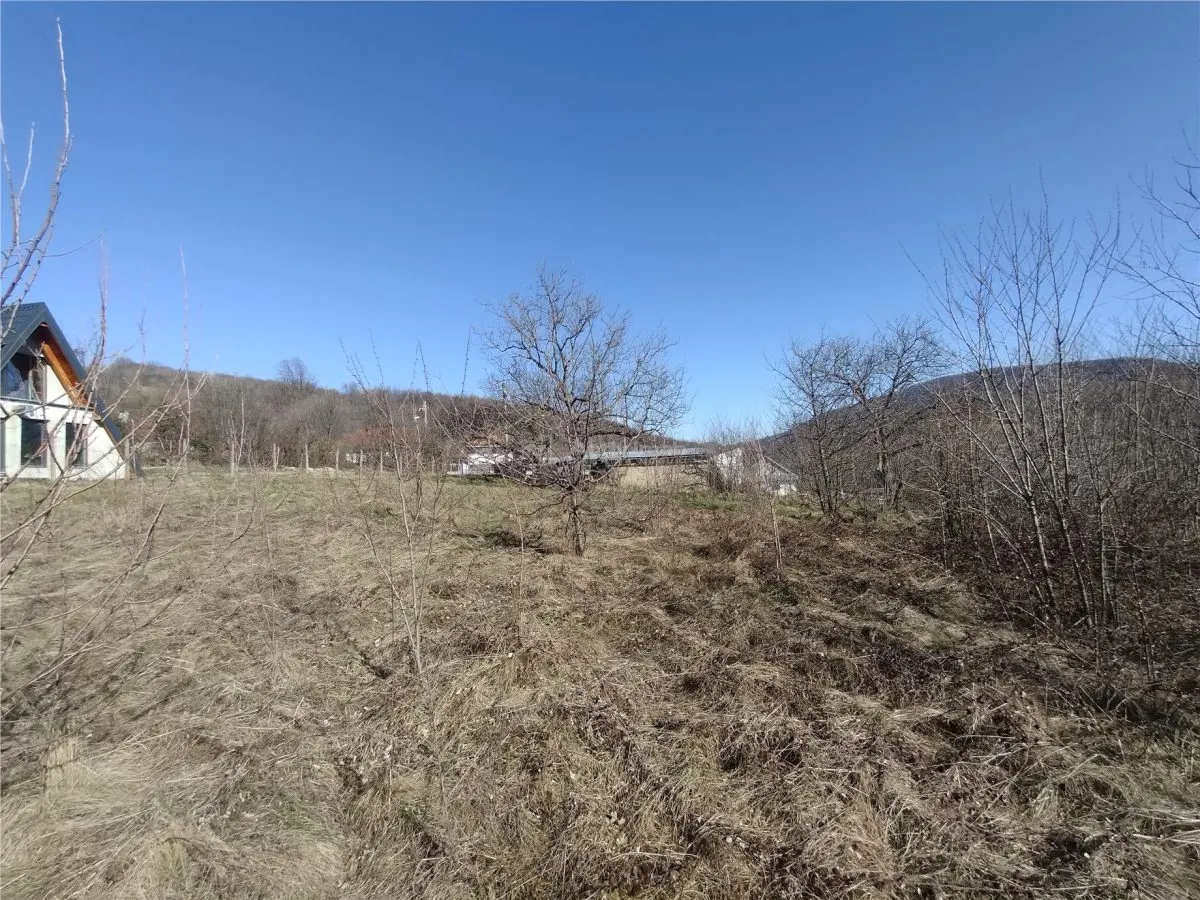 Oravita, Terrain Constructible, €3,8/m², Centre-Ville, Négociable - foto 17