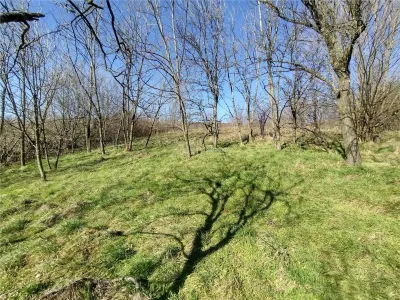 Oravita, Terrain Constructible, €3,8/m², Centre-Ville, Négociable - foto 19