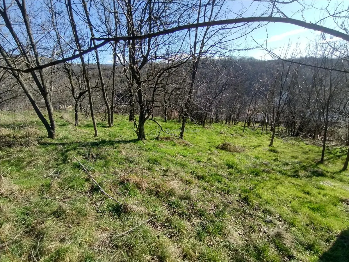 Oravita, Terrain Constructible, €3,8/m², Centre-Ville, Négociable - foto 20