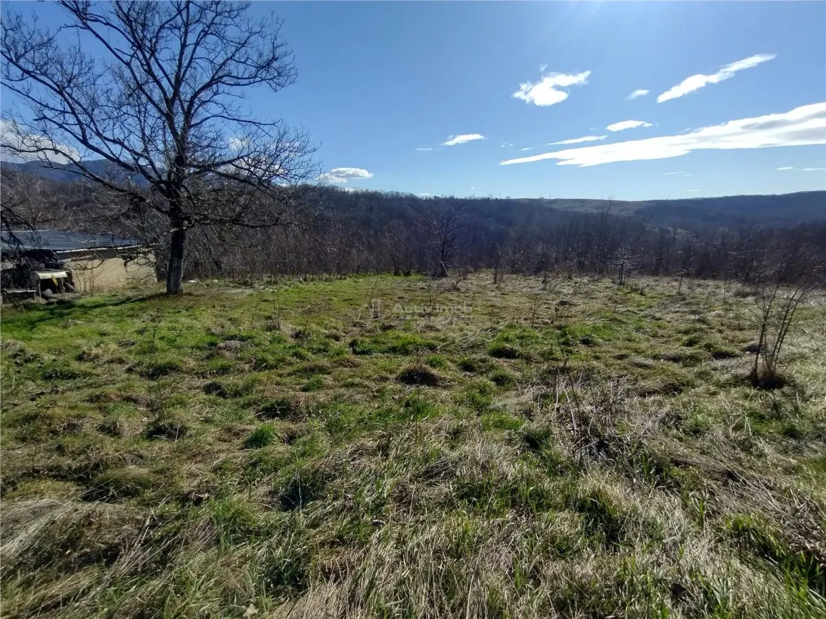 Oravita, Terrain Constructible, €3,8/m², Centre-Ville, Négociable - foto 8