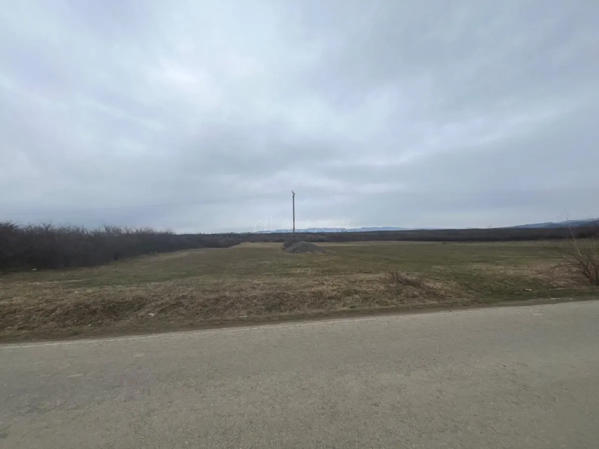 Caransebes, Terrain Agricole, Zlagnei - foto 1