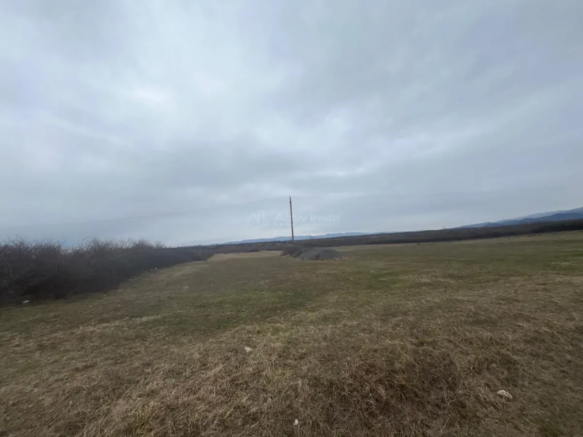 Caransebes, Terrain Agricole, Zlagnei - foto 2
