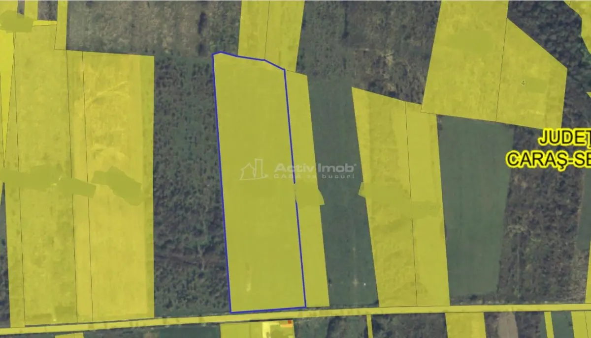 Caransebes, Terrain Agricole, Zlagnei - foto 4