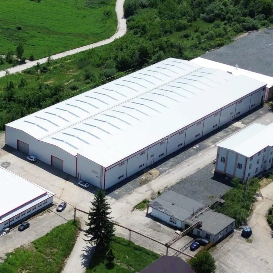Hala industriala de inchiriat - foto 6