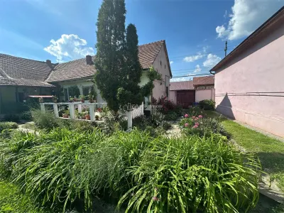 博克萨蒙塔纳，主干道上的宽敞家庭住宅 - foto 2