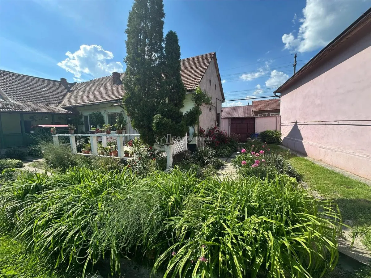 博克萨蒙塔纳，主干道上的宽敞家庭住宅 - foto 2