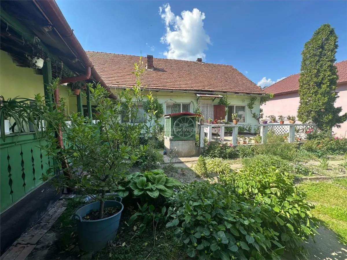 博克萨蒙塔纳，主干道上的宽敞家庭住宅 - foto 23