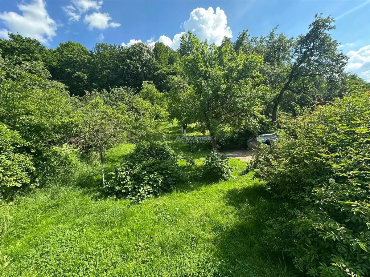 博克萨蒙塔纳，主干道上的宽敞家庭住宅 - foto 7