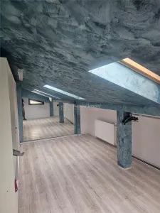 Villa Premium P+1+M Parque Chindia, Targoviste | 4 Dormitorios, 500 m² - foto 8