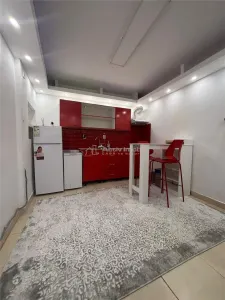 Studio Élégant, Ardeleni, Demi-Sous-Sol, 10 min Métro Obor - foto 4