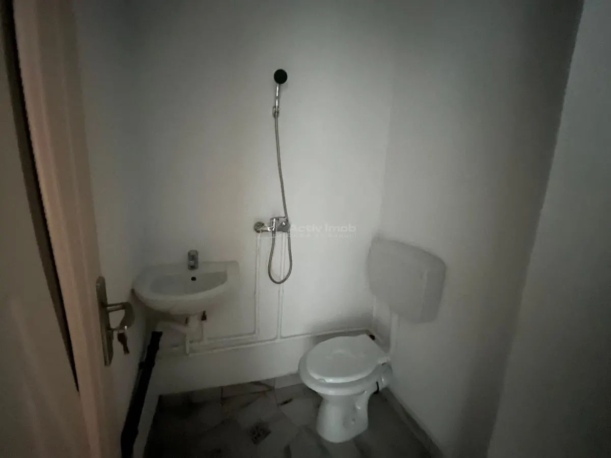 Caransebes, Estudio, Planta Baja, Balta Sarata - foto 4