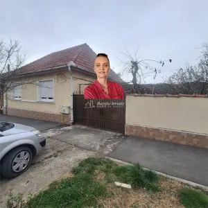 博克萨瓦西奥瓦：迷人的家庭住宅，带花园 - Bocsa
