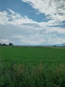 Terrain Stupini Brasov – 2000 m² - foto 2