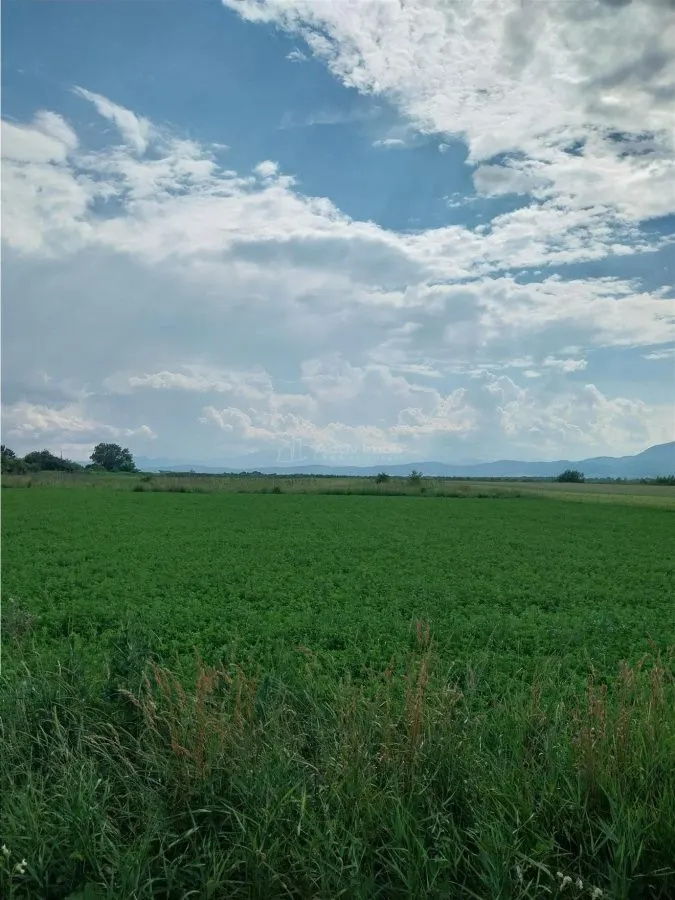 Terrain Stupini Brasov – 2000 m² - foto 2