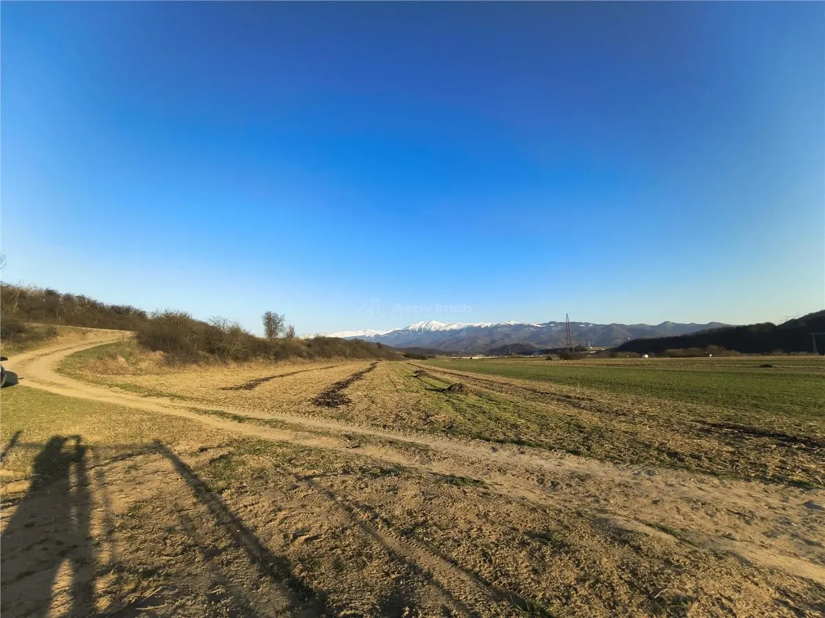 Terreno Rural en Venta en Talmaciu - foto 2