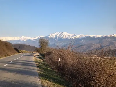 Terreno Rural en Venta en Talmaciu - foto 3