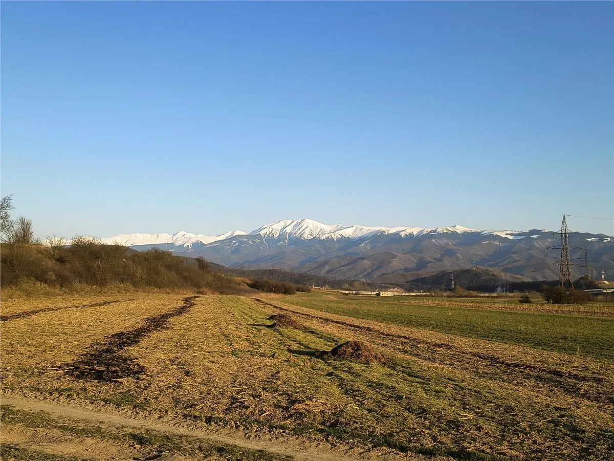 Terreno Rural en Venta en Talmaciu - foto 4