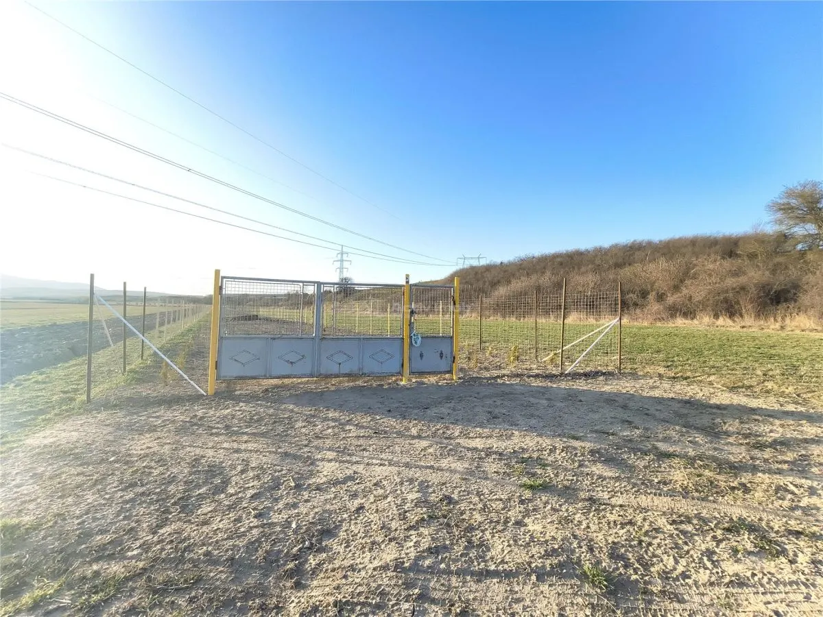Terreno Rural en Venta en Talmaciu - foto 5
