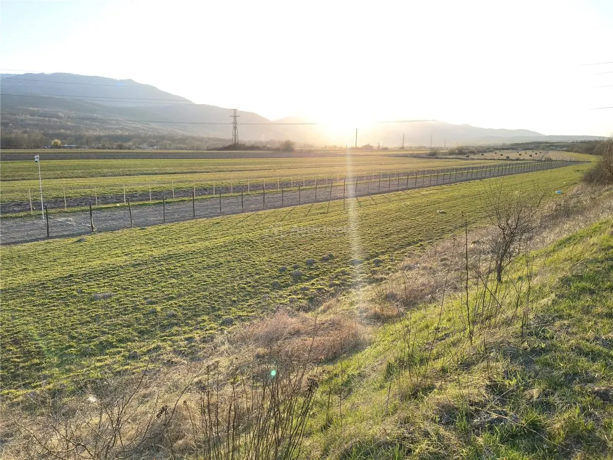 Terreno Rural en Venta en Talmaciu - foto 8