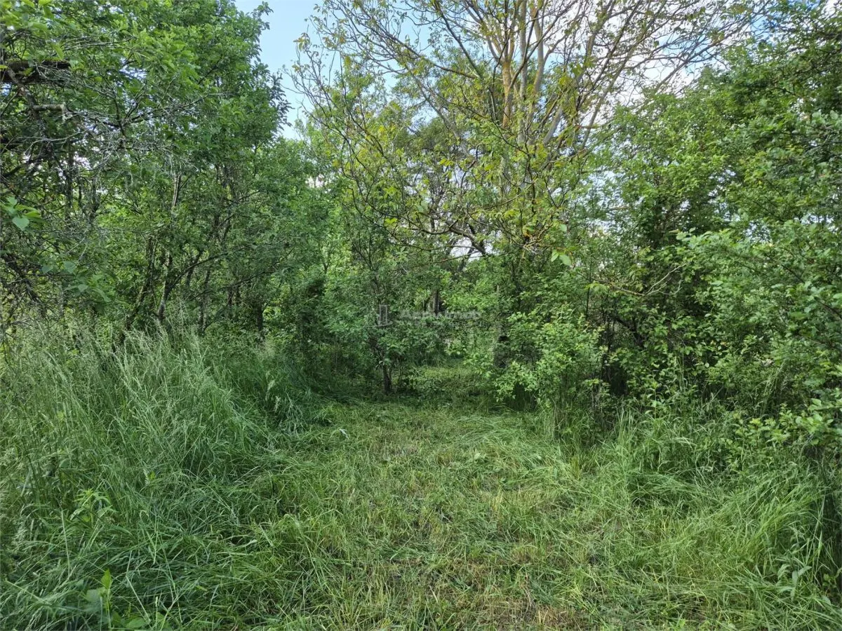 Maison de Campagne à Vendre avec Terrain de 2.112 m² - foto 13