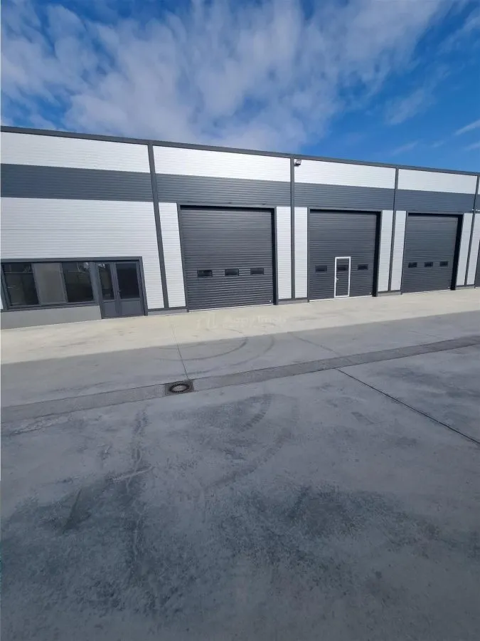 3 Halls industriels neufs 2026 – 550 m² chacun, région Alexandrie - foto 3