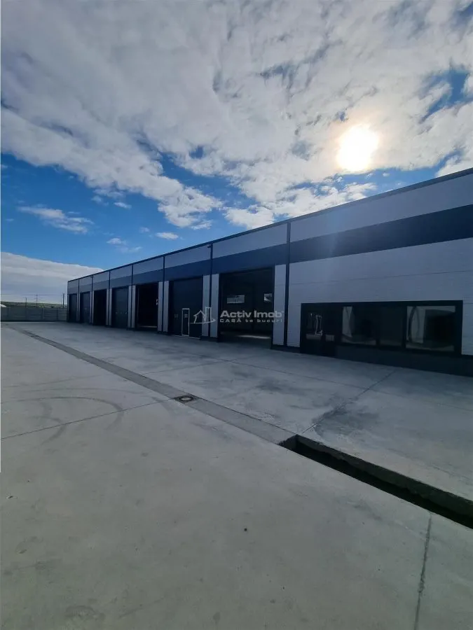 3 Halls industriels neufs 2026 – 550 m² chacun, région Alexandrie - foto 4