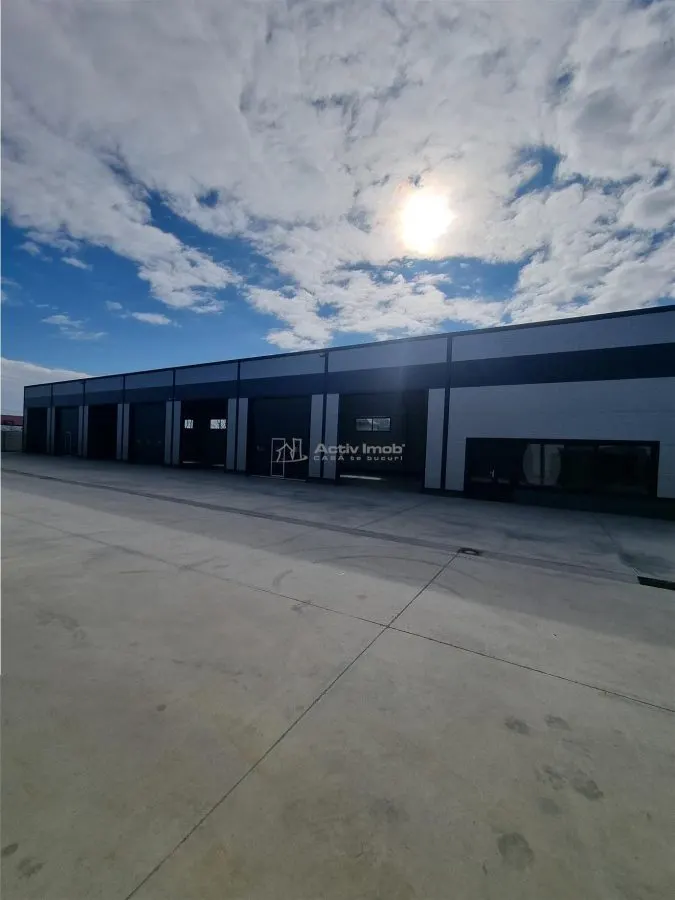 3 Halls industriels neufs 2026 – 550 m² chacun, région Alexandrie - foto 5