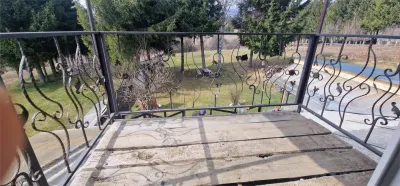 Brebu Nou, Caraș-Severin : Deux Maisons sur Terrain de 1 400 m², Zéro Commission Acheteur - foto 7