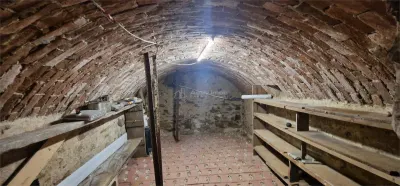 Brebu Nou, Caraș-Severin : Deux Maisons sur Terrain de 1 400 m², Zéro Commission Acheteur - foto 10