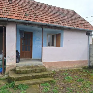 Maison de Campagne avec Jardin et Terrain, 4.636 m², Ghertenis - foto 11