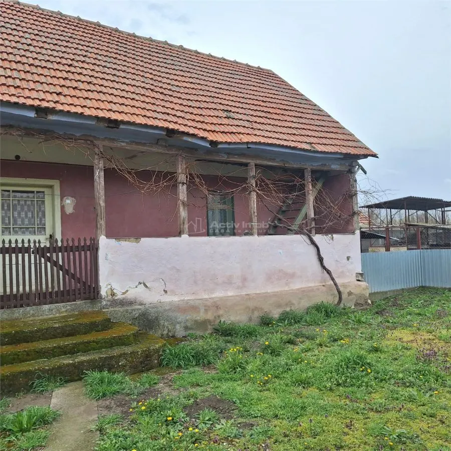 Maison de Campagne avec Jardin et Terrain, 4.636 m², Ghertenis - foto 14