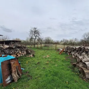 Maison de Campagne avec Jardin et Terrain, 4.636 m², Ghertenis - foto 19