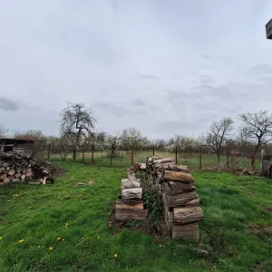 Maison de Campagne avec Jardin et Terrain, 4.636 m², Ghertenis - foto 22