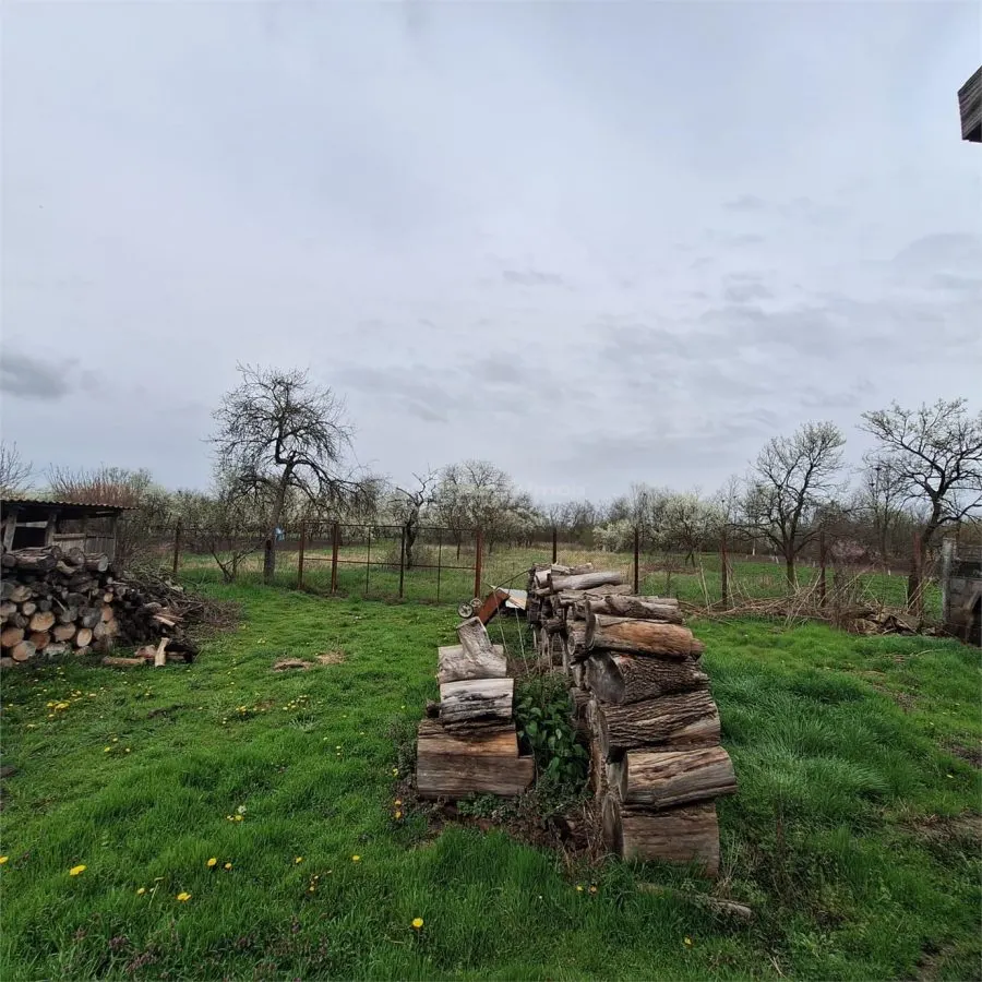 Maison de Campagne avec Jardin et Terrain, 4.636 m², Ghertenis - foto 22