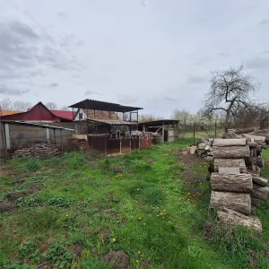 Maison de Campagne avec Jardin et Terrain, 4.636 m², Ghertenis - foto 4