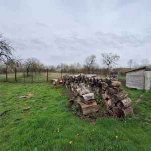 Maison de Campagne avec Jardin et Terrain, 4.636 m², Ghertenis - foto 8