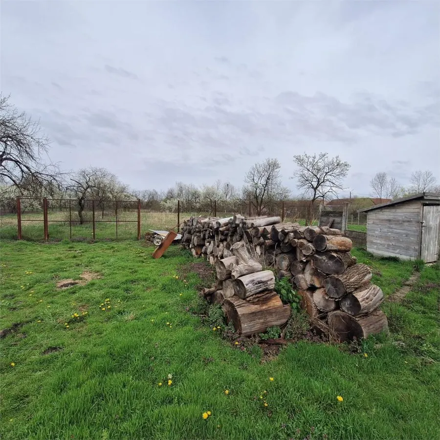 Maison de Campagne avec Jardin et Terrain, 4.636 m², Ghertenis - foto 8