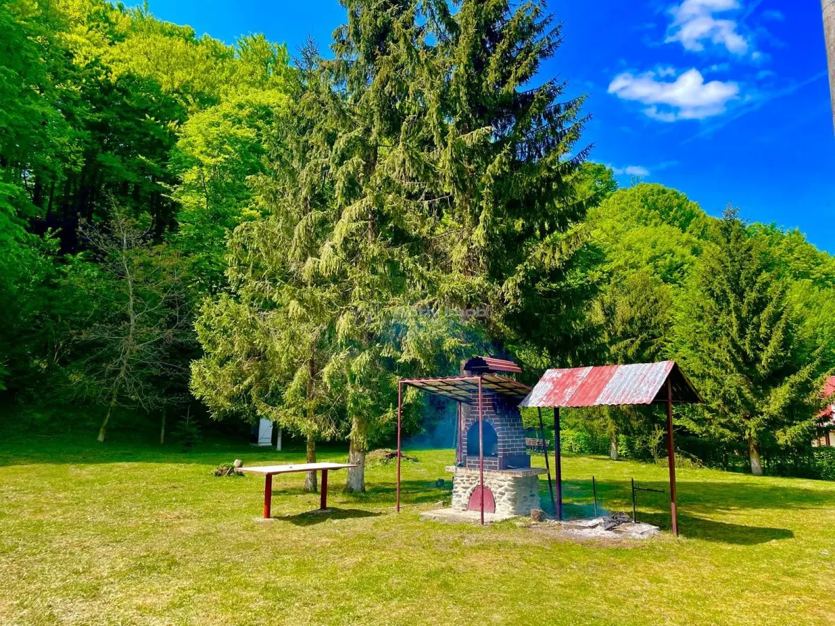 Maison de Vacances à Vendre Valea Avrigului - foto 1